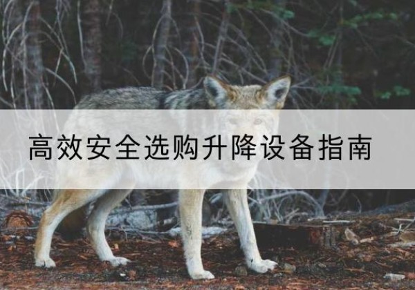 崆峒升降货梯厂家推荐-*安全选购升降设备指南