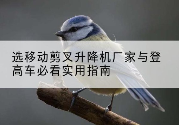 崆峒电动升降机厂家-选移动剪叉升降机厂家与登高车必看实用指南