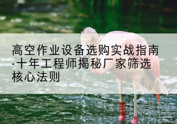 崆峒剪叉式升降机厂家-高空作业设备选购实战指南-十年工程师揭秘厂家筛选核心法则